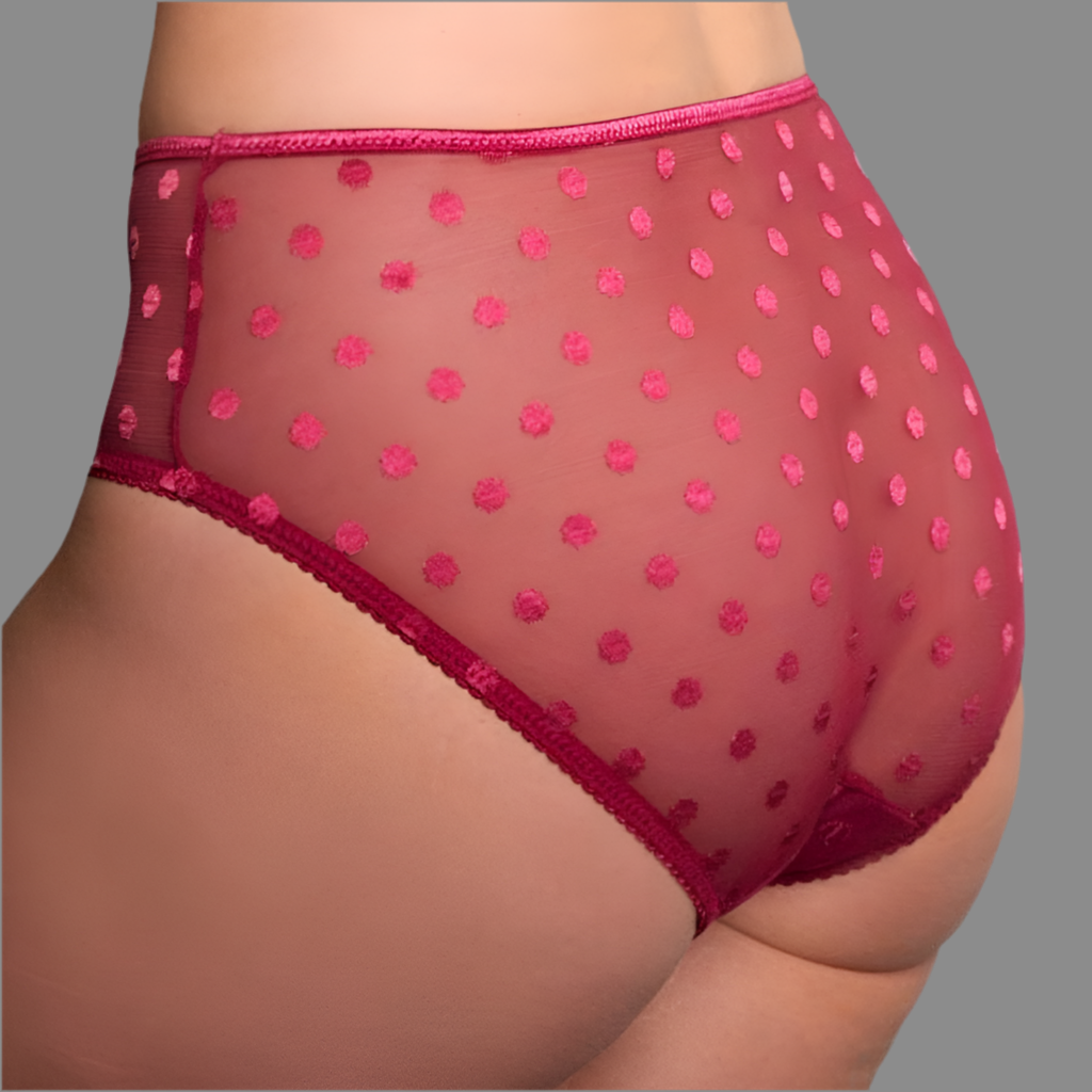Fit Fully Yours - Carmen Polka-Dot Bikini Brief - More Colors