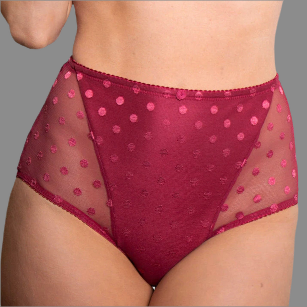 Fit Fully Yours - Carmen Polka-Dot High Rise Brief - More Colors