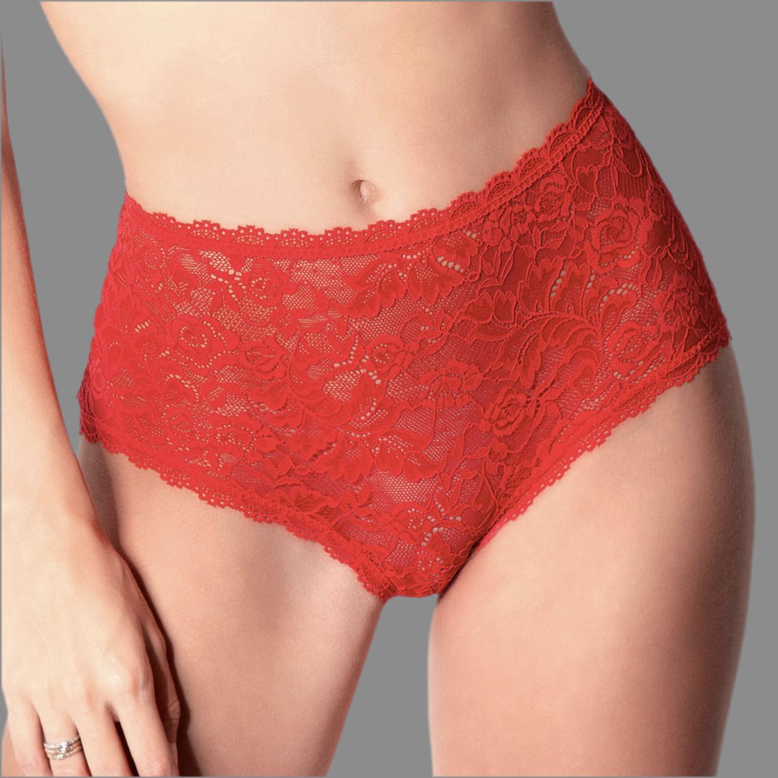 Aubade - Rosessence High Waist Brief - Nude - About the Bra